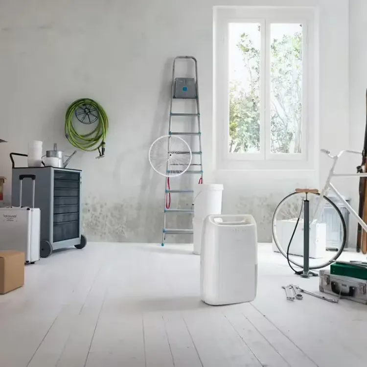 Alles DELONGHI odvlaživač zraka DEX210SF Tasciugo AriaDry