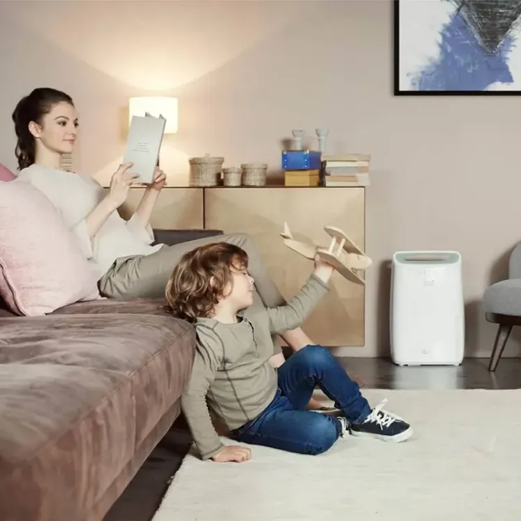 Alles DELONGHI odvlaživač zraka DEX212SF Tasciugo AriaDry