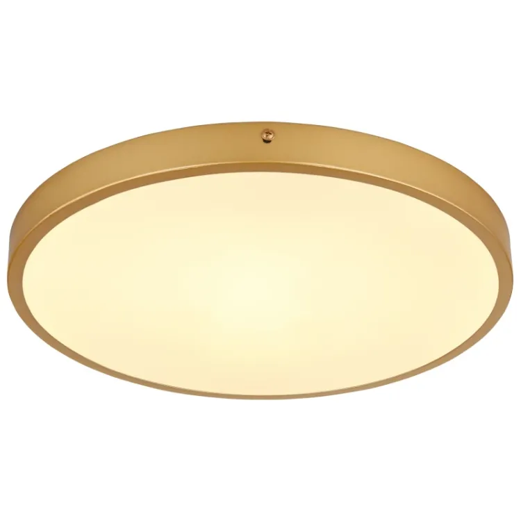 Alles GLOBO LED stropna svjetiljka TIBEY 12381-22