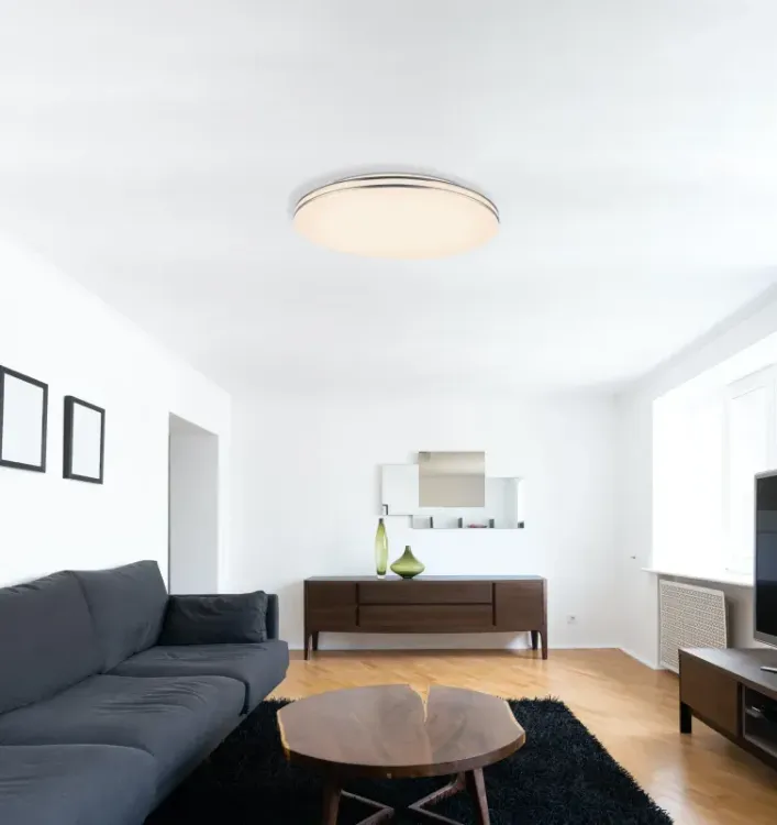 Alles GLOBO LED stropna svjetiljka PIERRE 48388-48