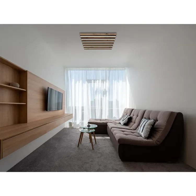 Alles GLOBO LED stropna svjetiljka HAYDEN 67347D2