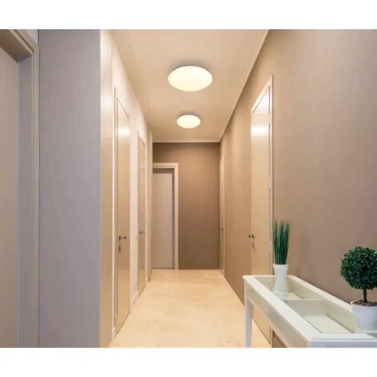 Alles GLOBO LED stropna svjetiljka PATRICIA 41770-24