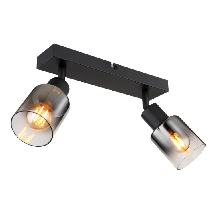 Alles GLOBO stropna svjetiljka HUBERTUS 54308-2