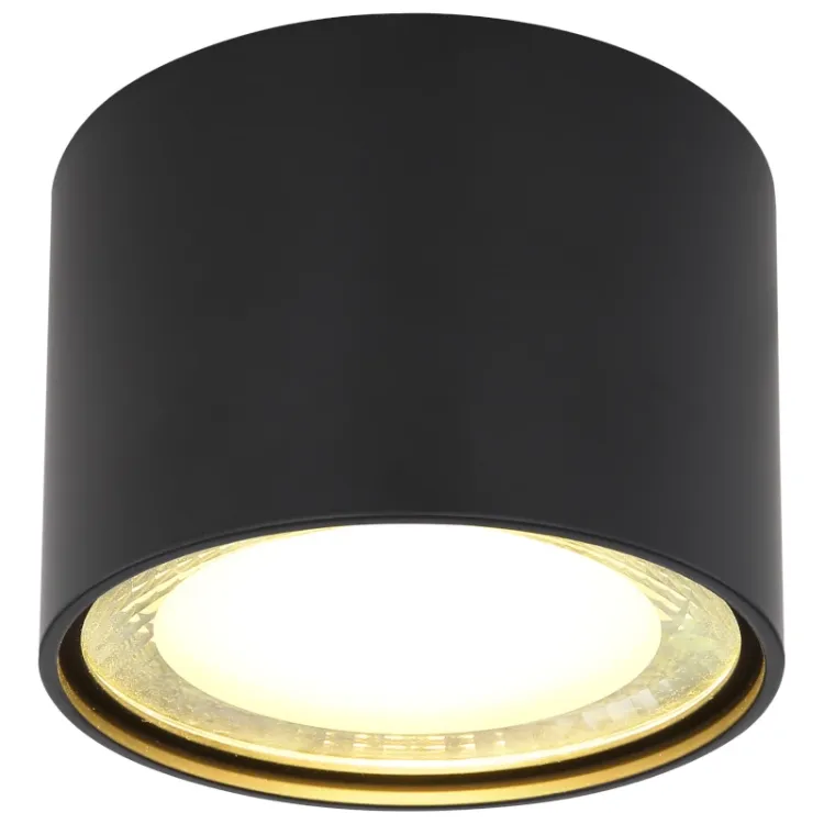 Alles GLOBO LED stropna svjetiljka SERENA 12007B