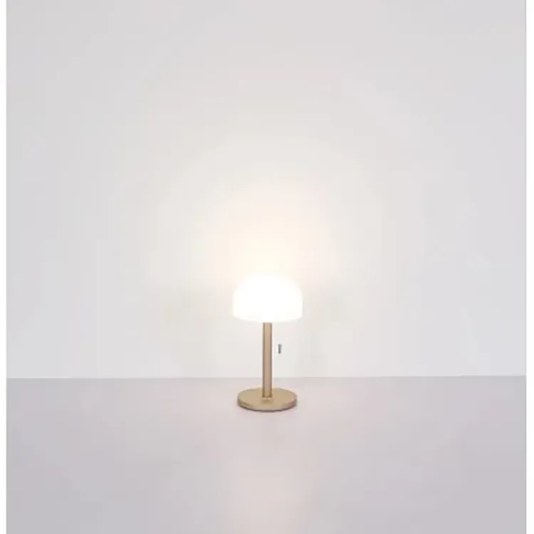 Alles GLOBO LED stolna svjetiljka 21016CH