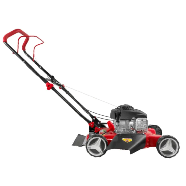 ALLES PRAKTIK motorna kosilica PG65482 B&S 450E