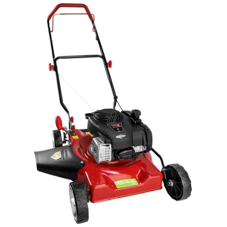 ALLES PRAKTIK motorna kosilica PG65482 B&S 450E