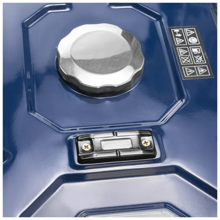 Alles PRAKTIK agregat benzinski PT7301