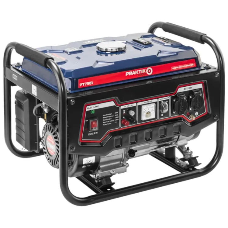 Alles PRAKTIK agregat benzinski PT7301