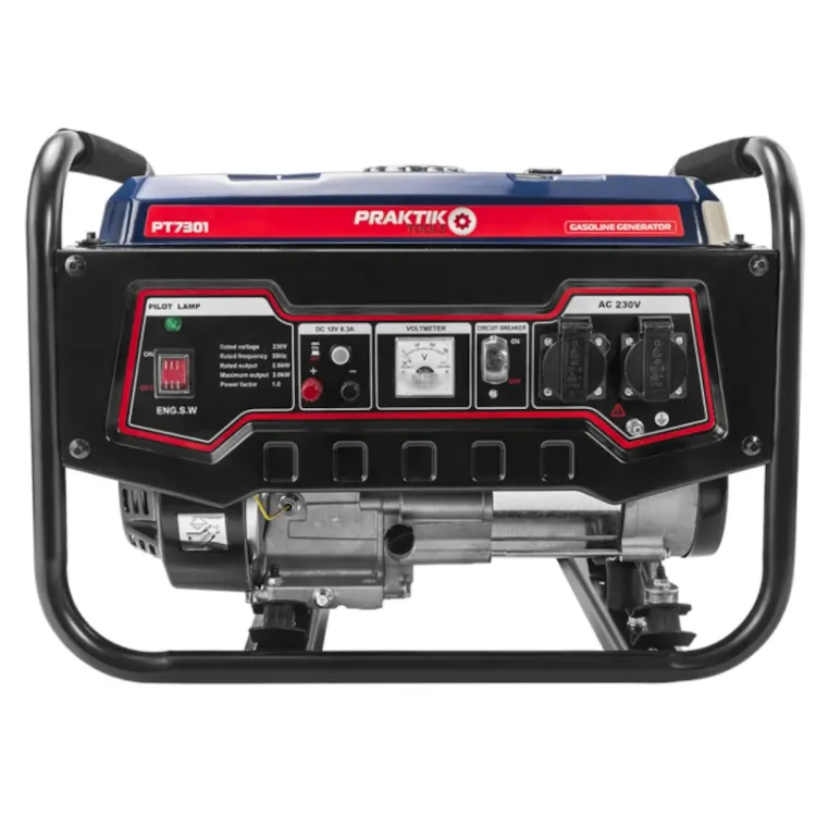 Alles PRAKTIK agregat benzinski PT7301