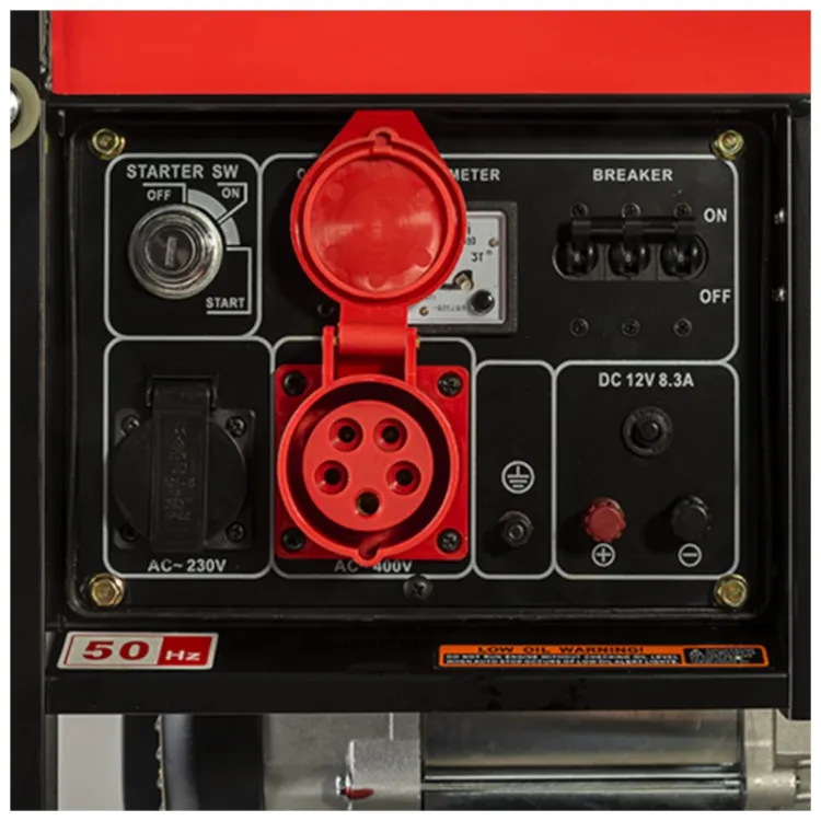 Alles PRAKTIK agregat dizelski PT7501D