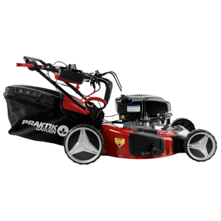 Alles PRAKTIK motorna kosilica PG65412 B&S DOV750EX