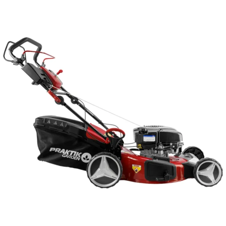 Alles PRAKTIK motorna kosilica PG65412 B&S DOV750EX