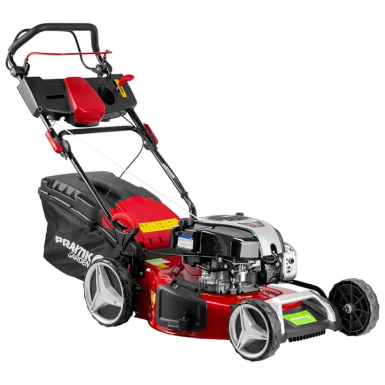 Alles PRAKTIK motorna kosilica PG65412 B&S DOV750EX