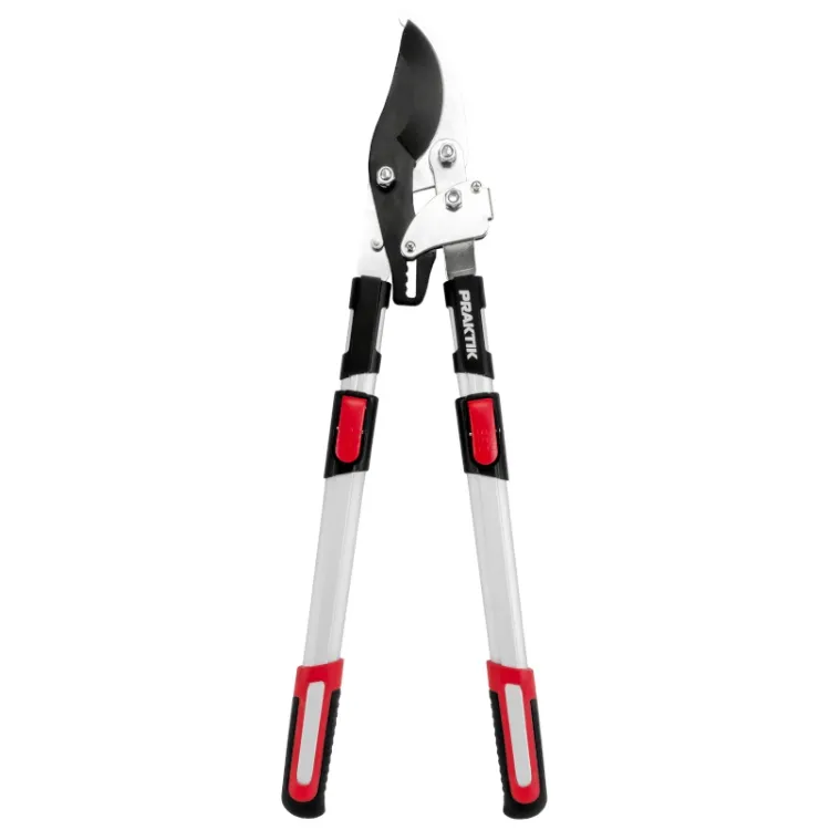 Alles PRAKTIK škare za grane PG012