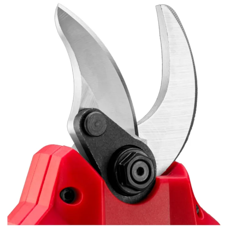 Alles PRAKTIK škare za orezivanje aku PTQ097