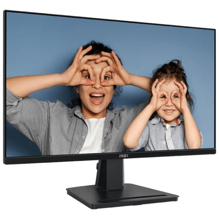 Alles MSI monitor PRO MP251