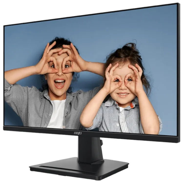 Alles MSI monitor PRO MP251