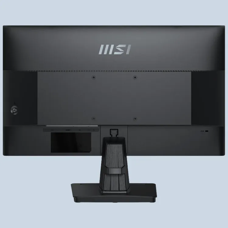 Alles MSI monitor PRO MP251