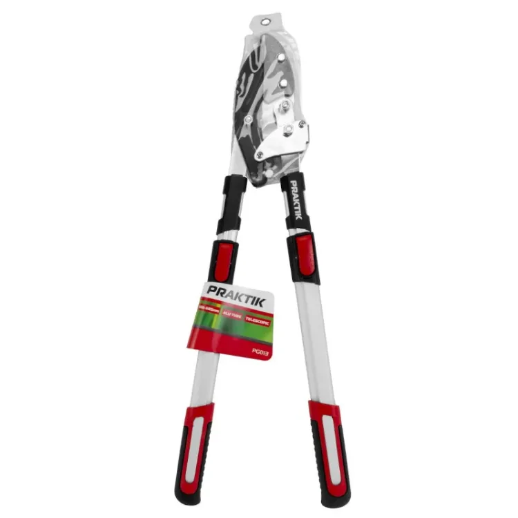 Alles PRAKTIK škare teleskopske za orezivanje PG013