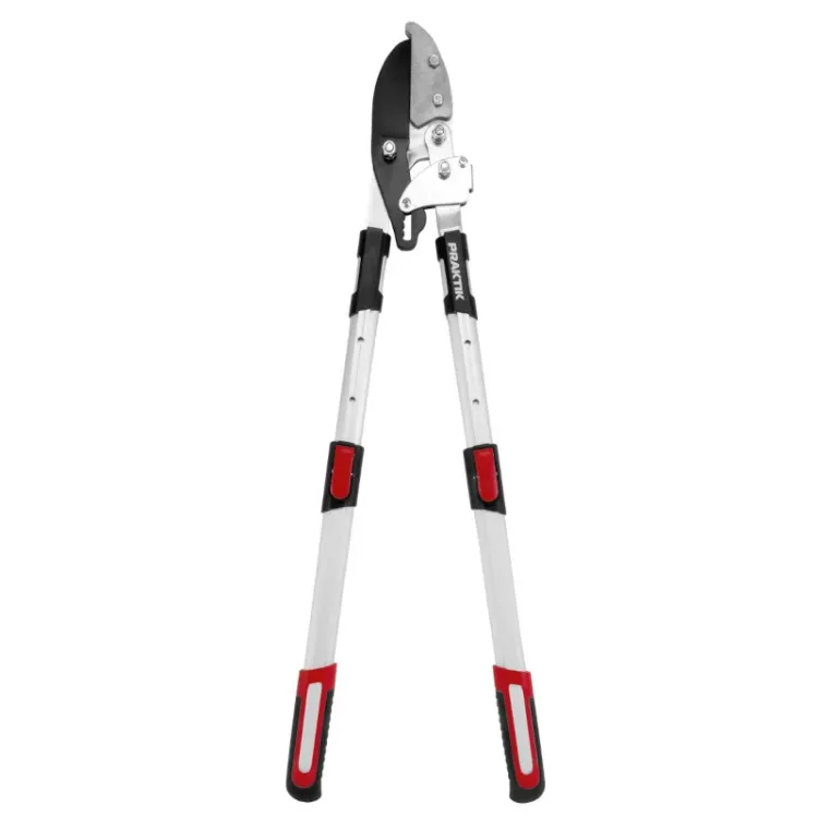 Alles PRAKTIK škare teleskopske za orezivanje PG013