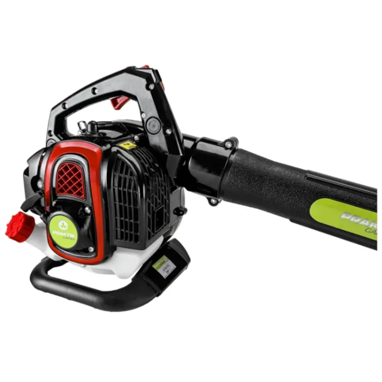 Alles PRAKTIK puhač lišća PG65280