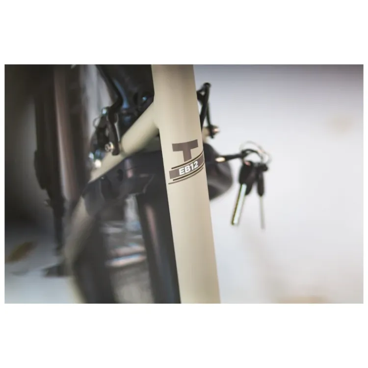 Alles TOMOS električni bicikl EB12 55 BLACK