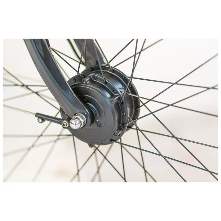 Alles TOMOS električni bicikl EB12 50 PEBBLE GRAY