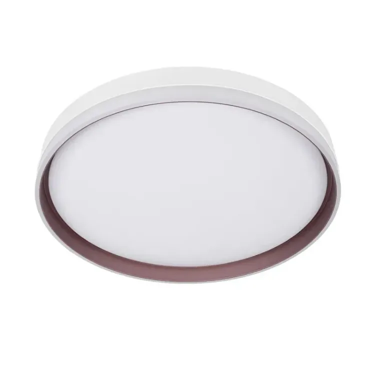 Alles IR LUKS LED plafonjera R890-M1 24W