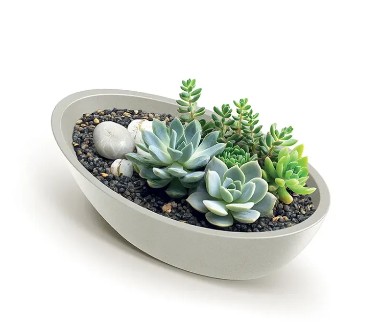 Alles Cvjetnjak ARIA OVAL 60 x 28 cm bež