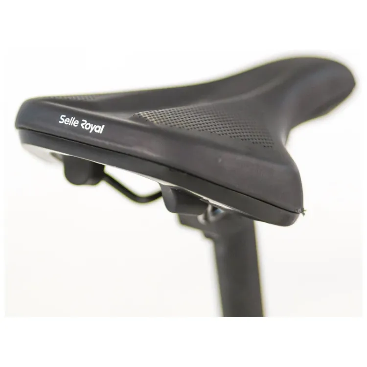 ALLES TOMOS električni bicikl EB10 WHITE GLOSSY