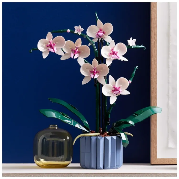 Alles LEGO BOTANICAL orhideja