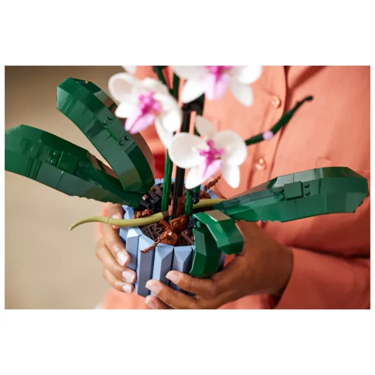 Alles LEGO BOTANICAL orhideja