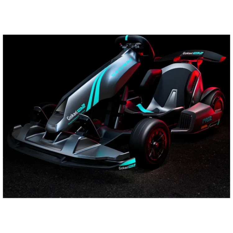 Alles SEGWAY električni GoKart Pro 2