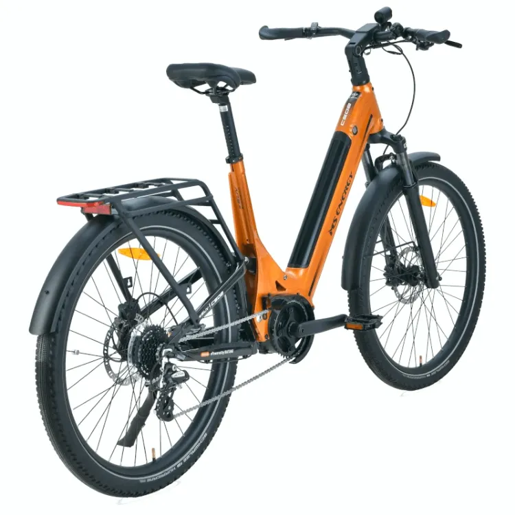 Alles MS ENERGY električni bicikli SUV C502