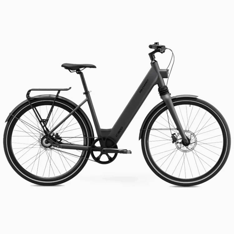 Alles MS ENERGY električni bicikli C300
