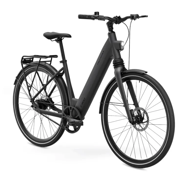 Alles MS ENERGY električni bicikli C300