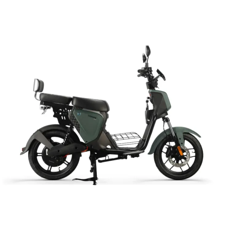 Alles TOMOS električni skuter ES 01 GREEN MATT