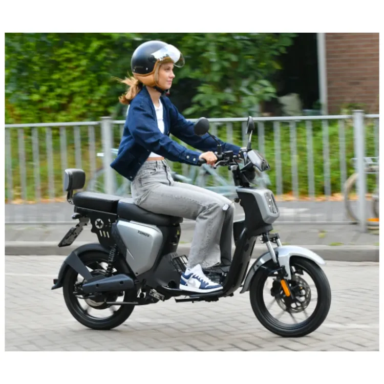 Alles TOMOS električni skuter ES 01 GREY MATT