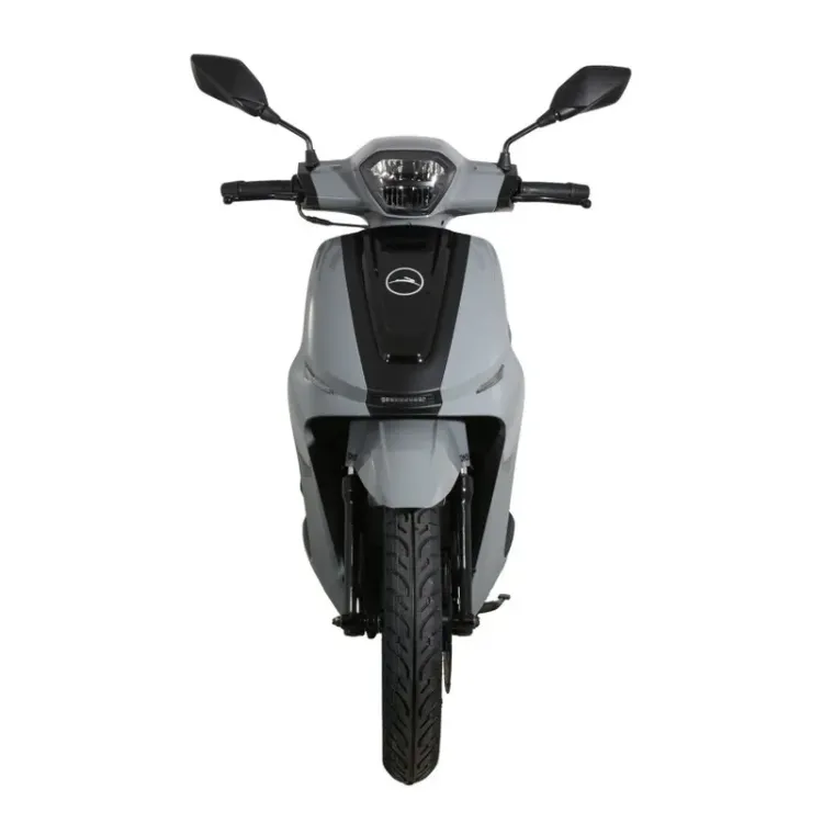 Alles TOMOS skuter GS 02 NARDO GREY