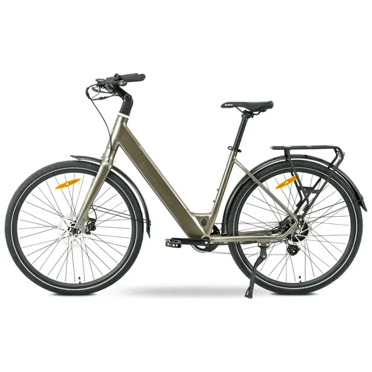 Alles MS ENERGY električni bicikli ZORYA BRONZE