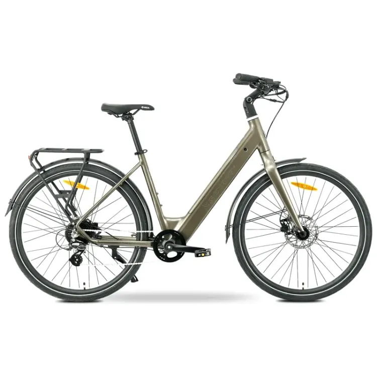 Alles MS ENERGY električni bicikli ZORYA BRONZE