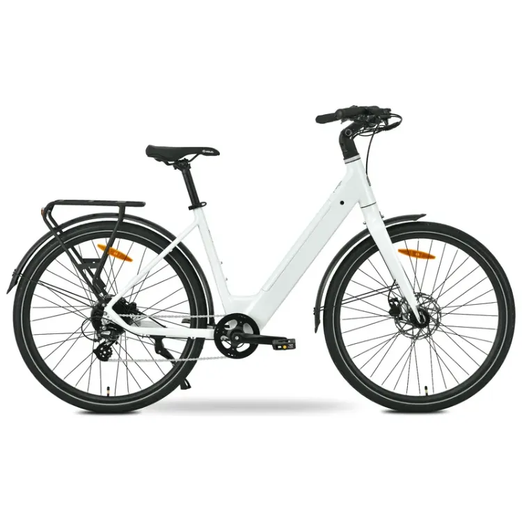 Alles MS ENERGY električni bicikli ZORYA WHITE