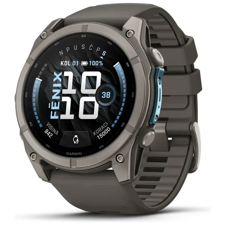 Alles GARMIN pametni sat FENIX 9 51mm Pebble Gray