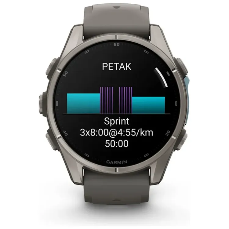Alles GARMIN pametni sat FENIX 9 43mm Pebble Gray