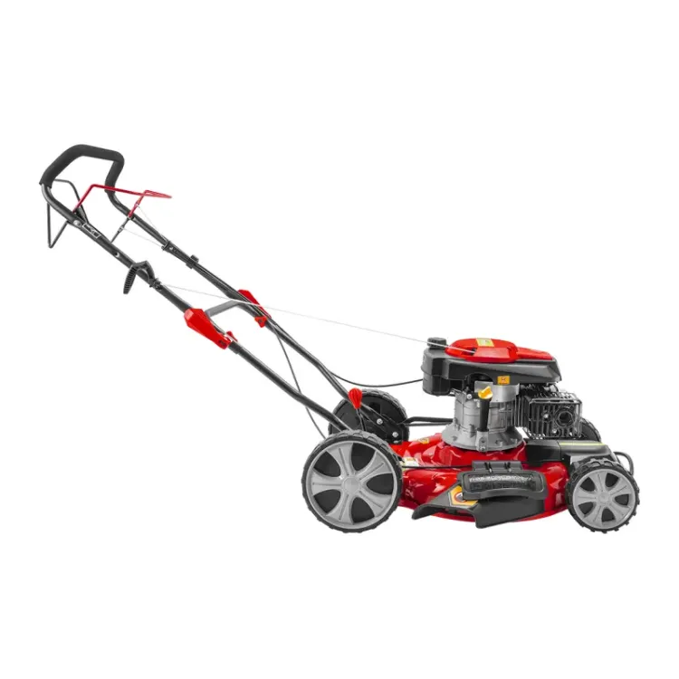 Alles PRAKTIK motorna kosilica samohodna PG65426