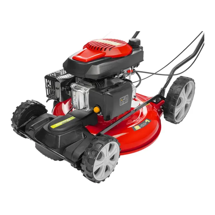 Alles PRAKTIK motorna kosilica samohodna PG65426