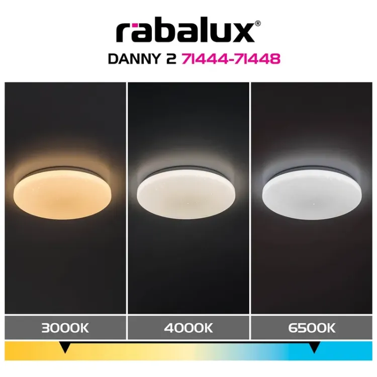Alles RABALUX LED stropna svjetiljka DANNY2 71444