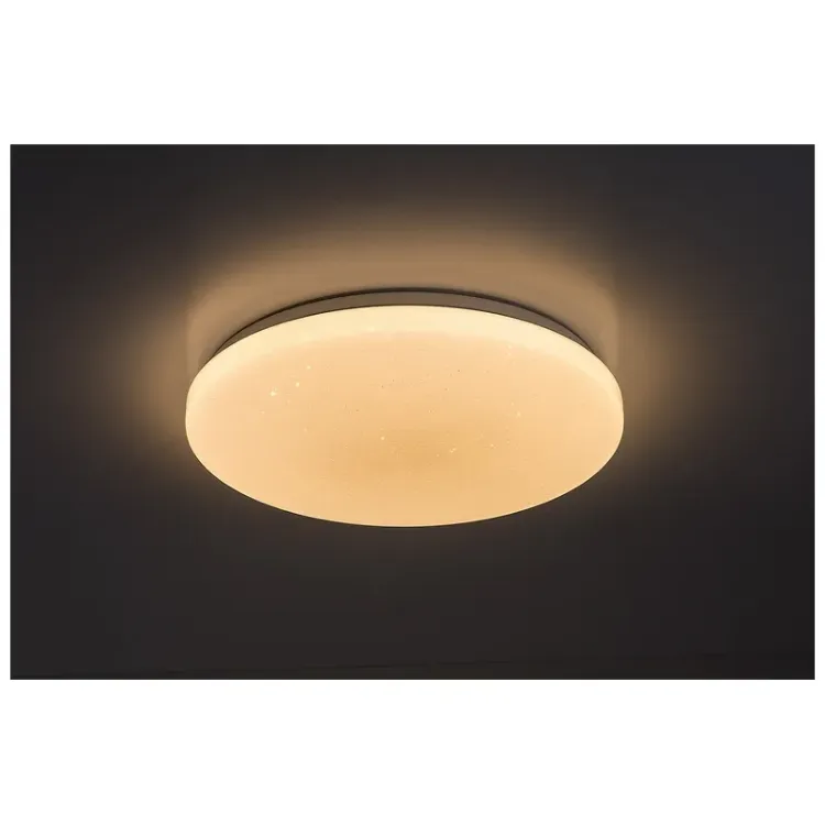 Alles RABALUX LED stropna svjetiljka DANNY2 71446