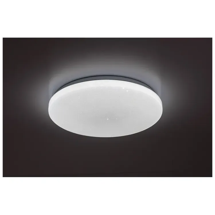 Alles RABALUX LED stropna svjetiljka DANNY2 71446